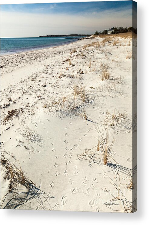 Tracks On The Beach Acrylic Print featuring the photograph Tracks on the Beach by Michelle Constantine