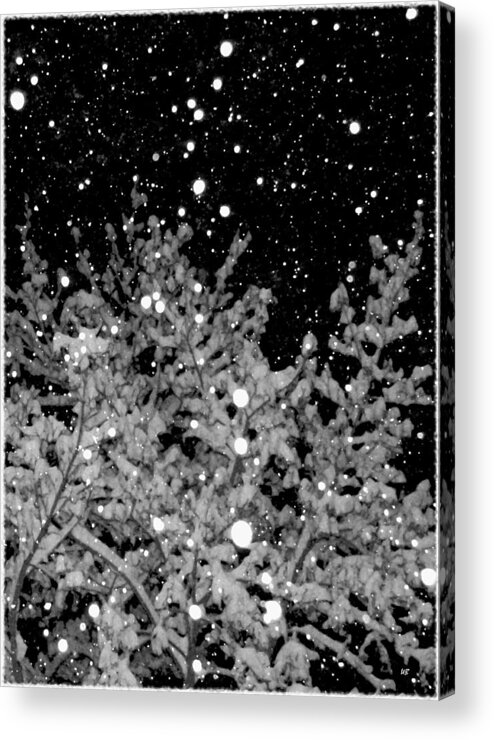 Tranquil Snowfall Acrylic Print featuring the digital art Tranquil Snowfall by Will Borden