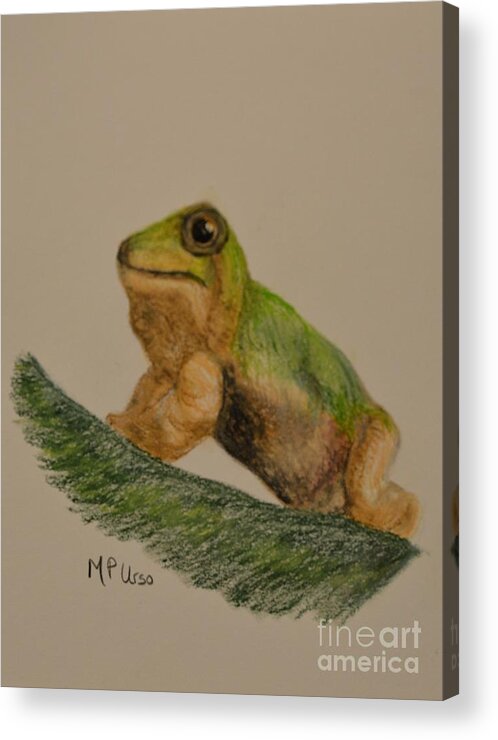 Tree Frog Acrylic Print featuring the pastel Tree Frog by Maria Urso