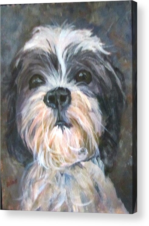 Dog Acrylic Print featuring the painting Trixie by Barbara O'Toole