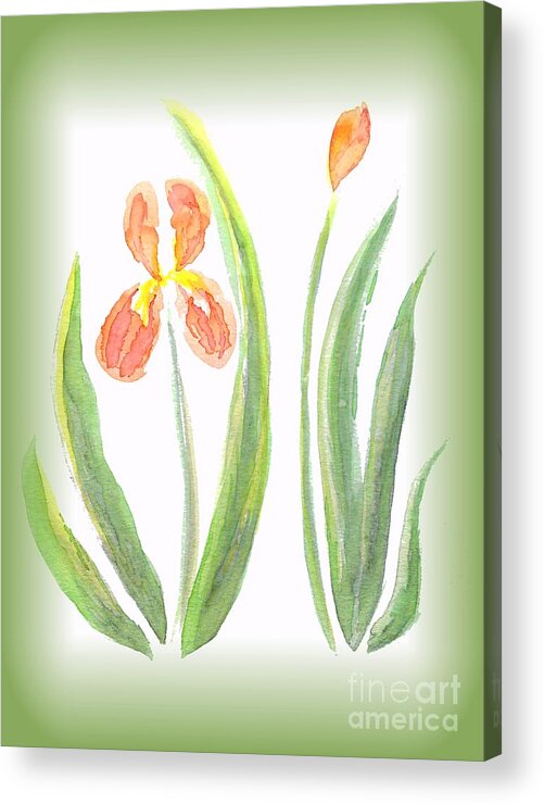 Art Acrylic Print featuring the painting Two Orange Iris green frame by Delynn Addams