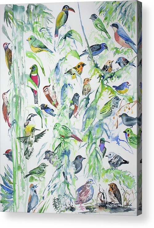 Wildsumaco Acrylic Print featuring the painting Watercolor - Birds of Wildsumaco by Cascade Colors