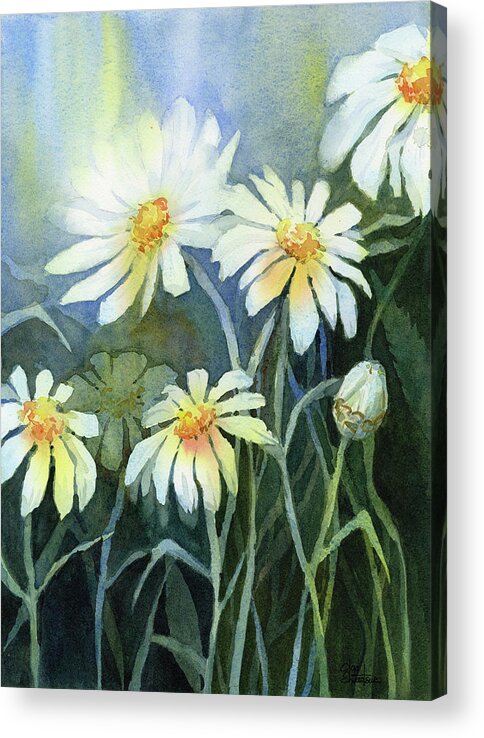 Daisies Acrylic Print featuring the painting Daisies Flowers by Olga Shvartsur