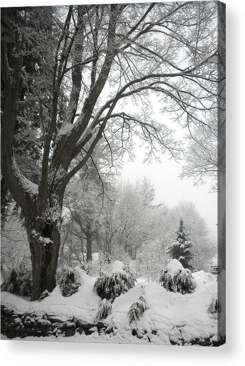 Winter Acrylic Print featuring the photograph Winter's Coat by Karen Moulder