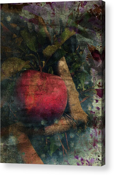 Apple Acrylic Print featuring the photograph Without Consequence by Char Szabo-Perricelli