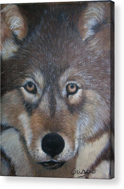  Acrylic Print featuring the painting Wolf by Jean Yves Crispo