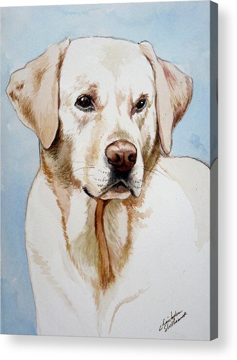 Lab Acrylic Print featuring the painting Yellow Lab by Christopher Shellhammer