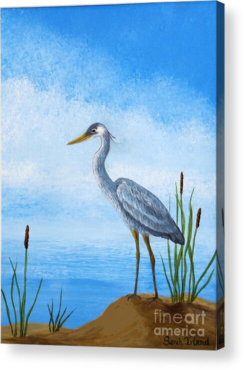 Young Acrylic Print featuring the painting Young Heron by Sarah Irland