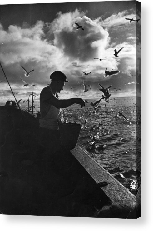 Shadow Acrylic Print featuring the photograph Feed The Birds #1 by Bert Hardy