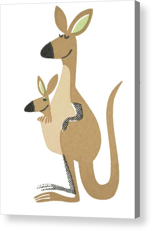 Animal Acrylic Print featuring the drawing Kangaroo #18 by CSA Images