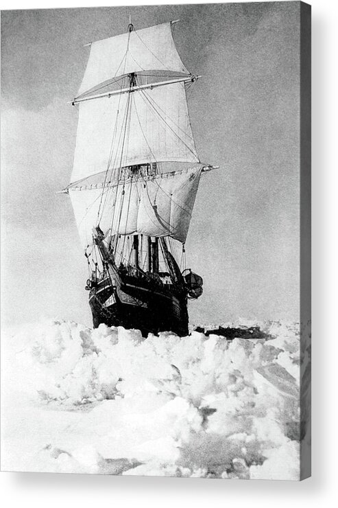1915 Acrylic Print featuring the photograph Imperial Trans-antarctic Expedition #7 by Science Source