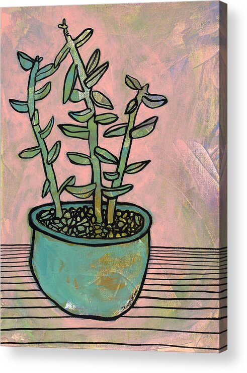 Succulent Acrylic Print featuring the painting Abundance by Darcy Lee Saxton