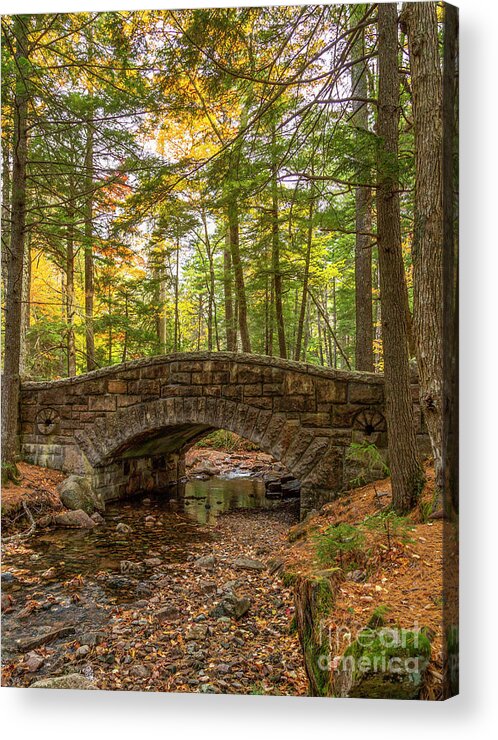 Autumn Acrylic Print featuring the photograph Acadia Bridge by Karin Pinkham