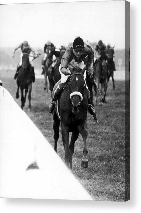 Ascot Racecourse Acrylic Print featuring the photograph Almeria At Ascot by Keystone