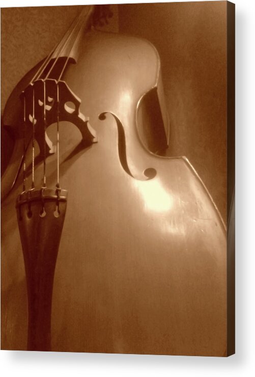 Music Acrylic Print featuring the photograph Cello Form by Silentfoto