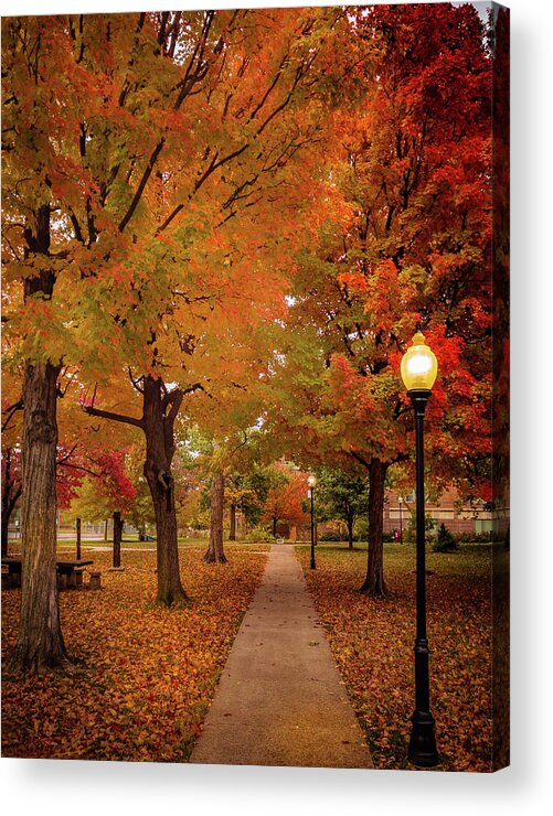 Fall Acrylic Print featuring the photograph Drury Autumn by Allin Sorenson