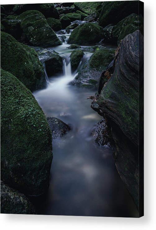 Moss Acrylic Print featuring the photograph Green Brook by Toshifumi C