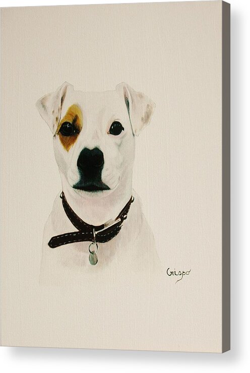 Dog Acrylic Print featuring the painting Jack by Jean Yves Crispo