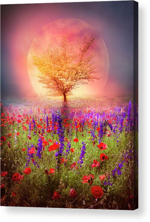 Appalachia Acrylic Print featuring the photograph Magical Moon in the Poppies by Debra and Dave Vanderlaan