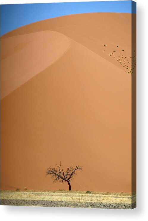 Tranquility Acrylic Print featuring the photograph Namibia - Namib Desert by Ibon Cano Sanz