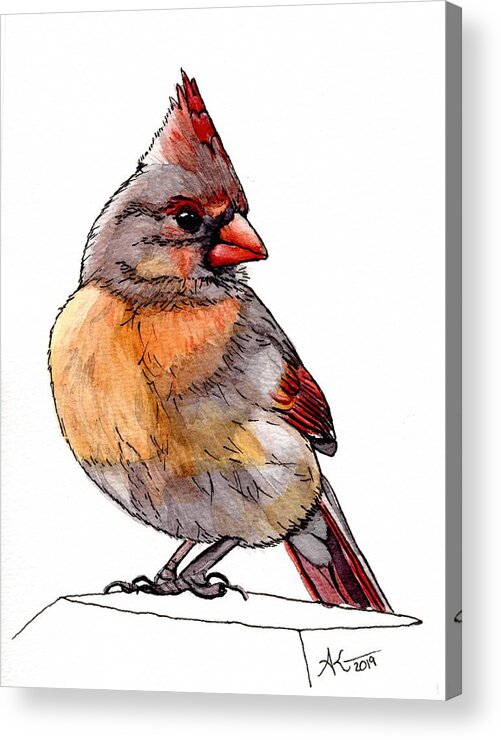 Cardinal Acrylic Print featuring the mixed media Pretty Bird by Alexis King-Glandon