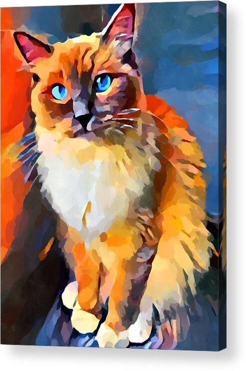 Animal Acrylic Print featuring the painting Ragdoll 2 by Chris Butler