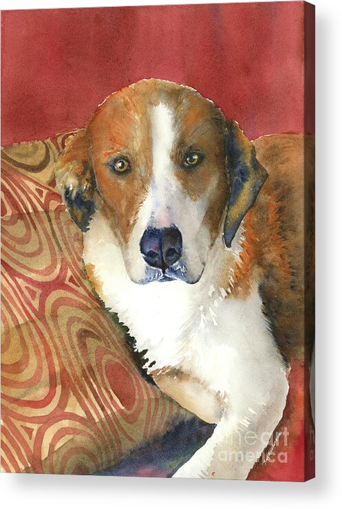 Dog Portrait Acrylic Print featuring the painting Sally by Amy Kirkpatrick