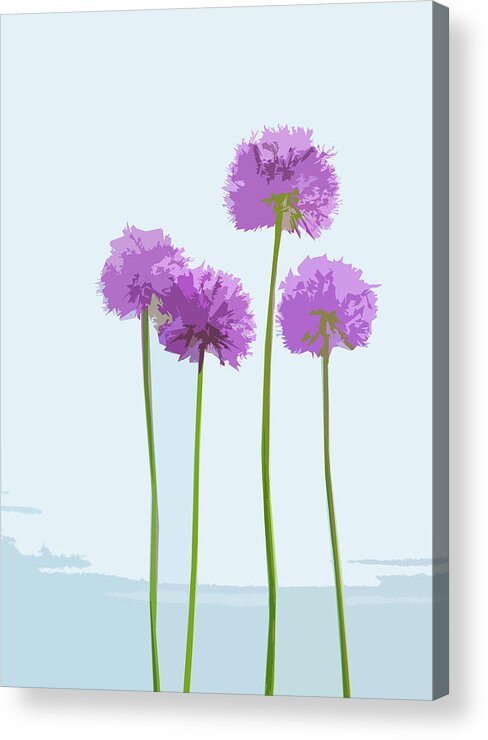 Plants Acrylic Print featuring the digital art Tall Alliums by Garden Gate magazine
