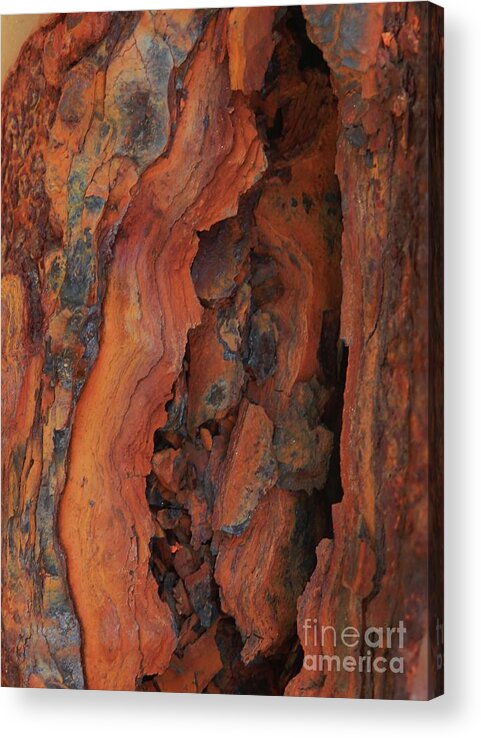  Beauty Of Rust Acrylic Print featuring the photograph The Beauty of Rust by Marcia Lee Jones