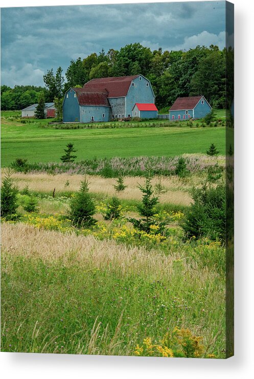 Pei Acrylic Print featuring the photograph The Blue Barn, Vertical by Marcy Wielfaert