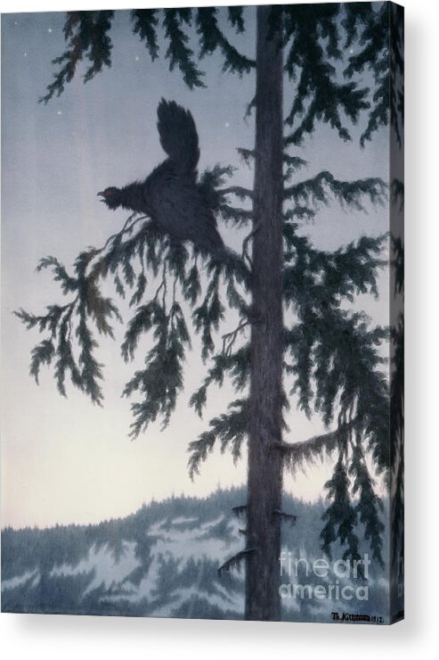 Theodor Kittelsen Acrylic Print featuring the painting The male capercaillie plays by O Vaering by Theodor Kittelsen