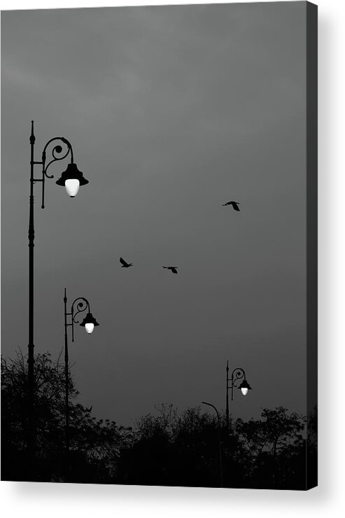 Minimalism Acrylic Print featuring the photograph Three Lamps Three Birds by Prakash Ghai