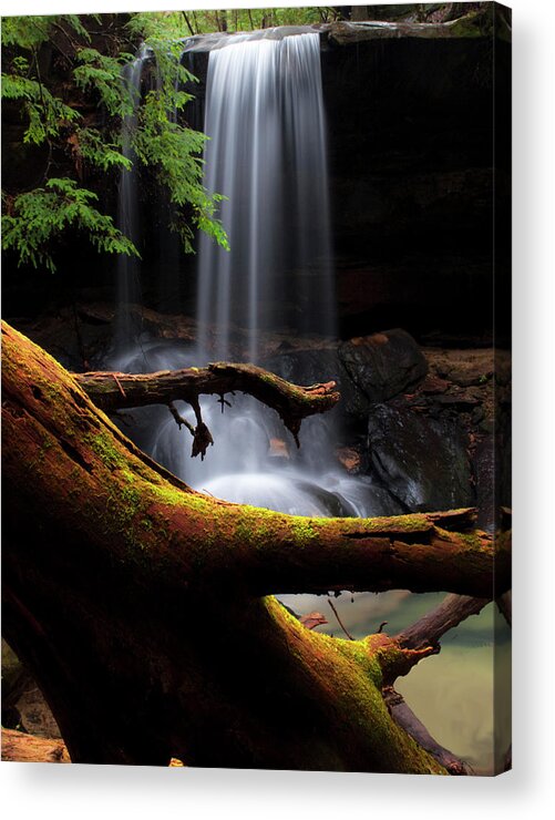 Outdoors Acrylic Print featuring the photograph Turkey Foot Falls With Red Juniper by Tony Barber