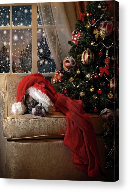 Dog Acrylic Print featuring the photograph Waiting For Santa by Ddiarte