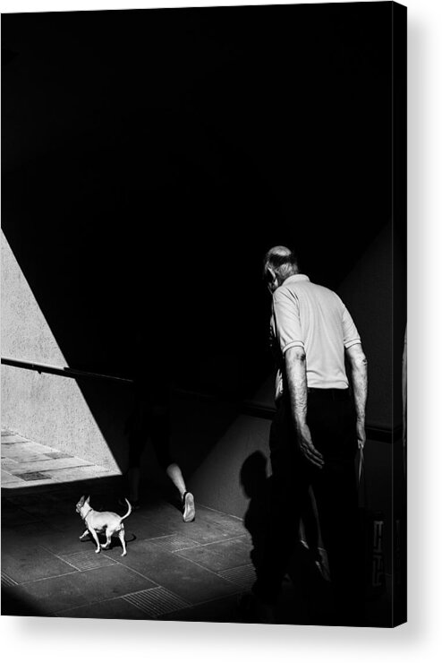 Shadow Acrylic Print featuring the photograph Walking To The Other Side by Tina Kim