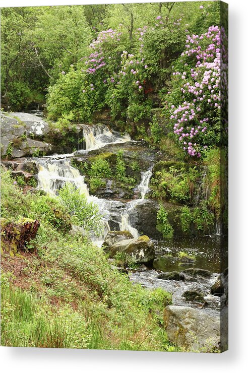 Waterfall Acrylic Print featuring the photograph Waterfall And Gardens by Jeff Townsend