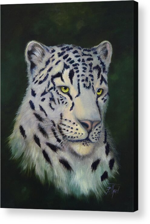 White Snow Leopard Acrylic Print featuring the painting Snow Leopard by Lynne Pittard