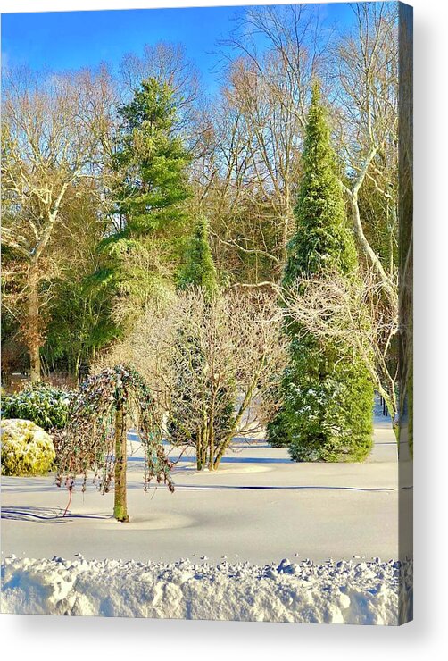 Trees Acrylic Print featuring the photograph Winter Woodland Scene by Lisa Pearlman
