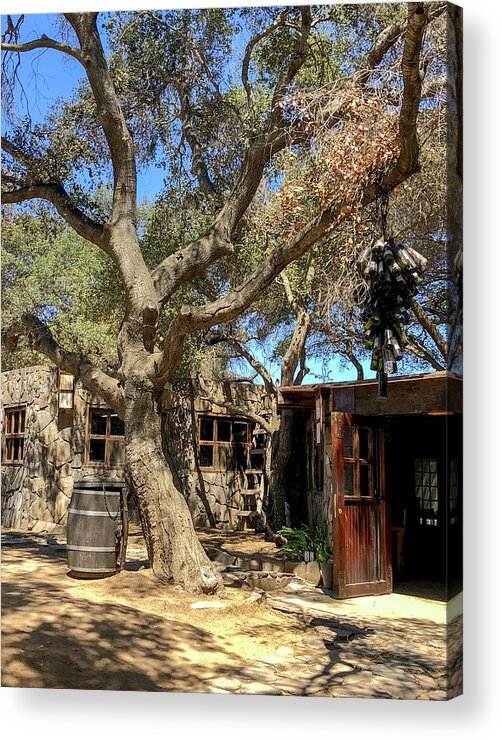 Valle De Guadalupe Acrylic Print featuring the photograph Among the Oaks by William Scott Koenig