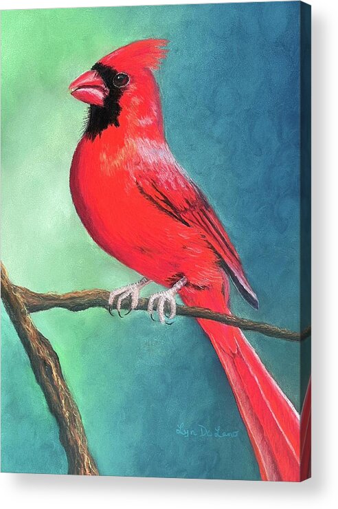 Bird Acrylic Print featuring the pastel Cardinal #1 by Lyn DeLano