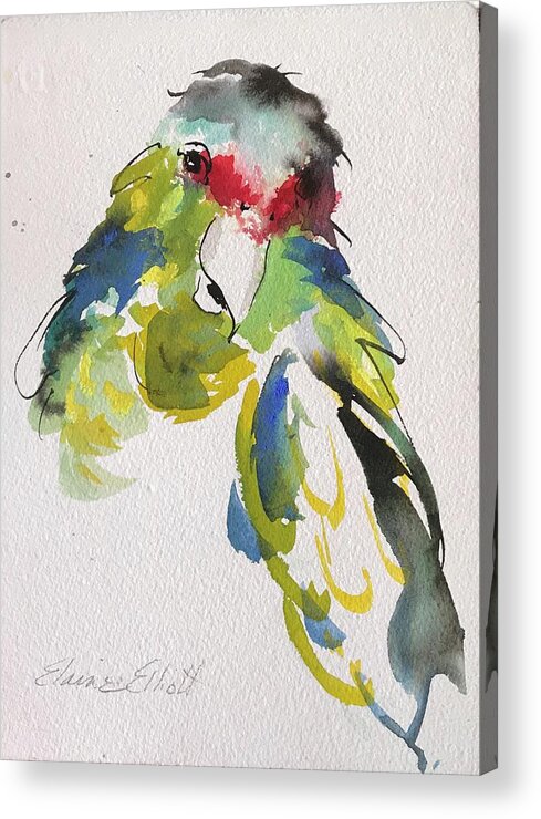 Tropical Birds Acrylic Print featuring the painting Parrot Portrait by Elaine Elliott