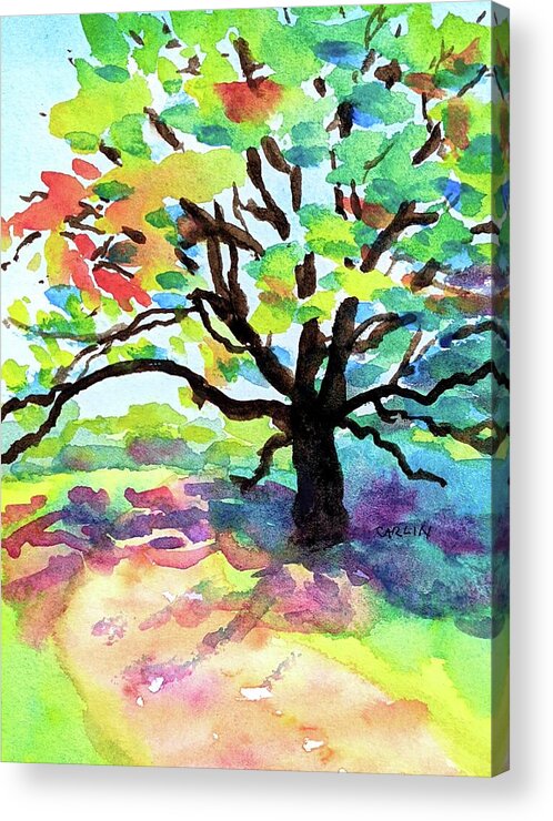 Tree Acrylic Print featuring the painting A Walk in the Park by Carlin Blahnik CarlinArtWatercolor