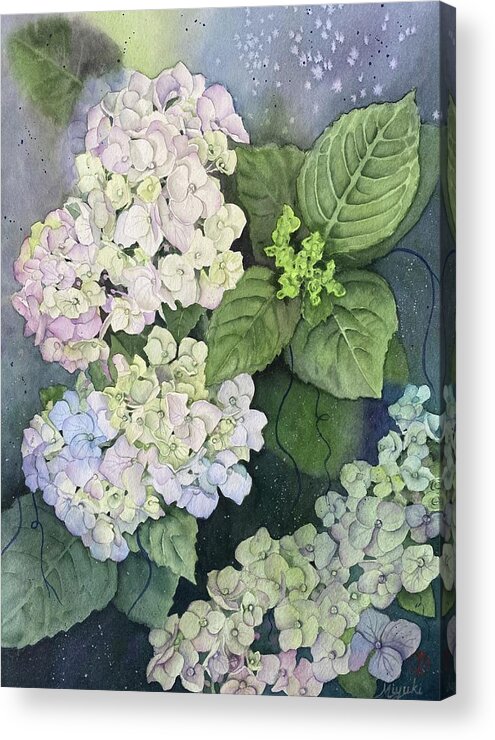 Hydrangea Acrylic Print featuring the painting First Blush by Kelly Miyuki Kimura