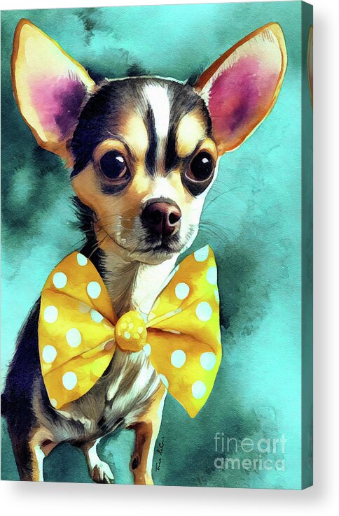 Chihuahua Acrylic Print featuring the painting Adorable Chihuahua by Tina LeCour
