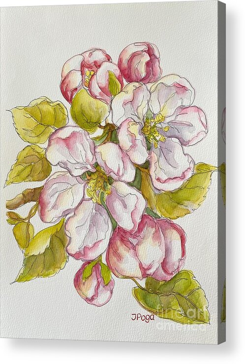 Apple Blossoms Acrylic Print featuring the painting Apple blossoms by Inese Poga