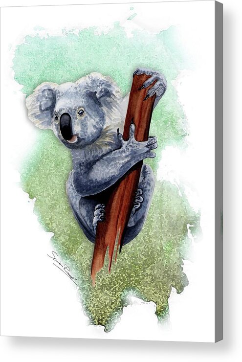 Art Acrylic Print featuring the painting Australian Koala by Simon Read