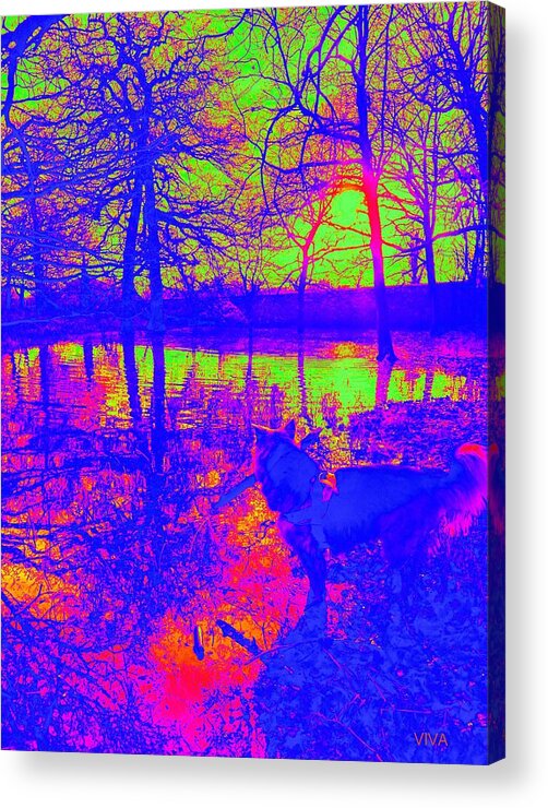 Landscape Acrylic Print featuring the photograph Autumn Floods at Badgery Creek by VIVA Anderson