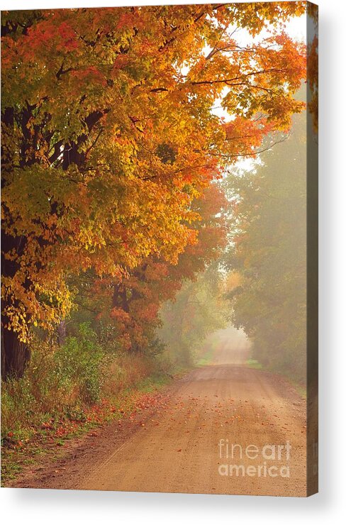Autumn Acrylic Print featuring the photograph Autumn is a Verb by Terri Gostola