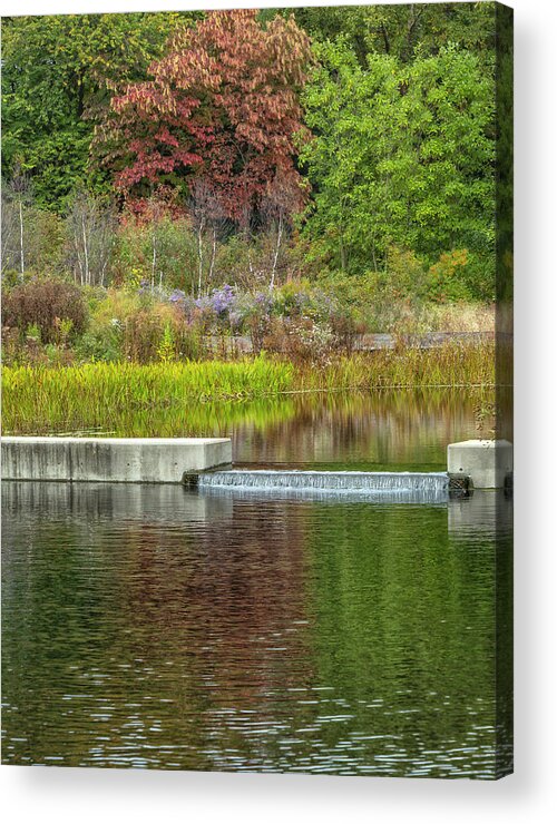 Bronx Botanical Gardens Acrylic Print featuring the photograph Autumn Water Reflections by Cate Franklyn