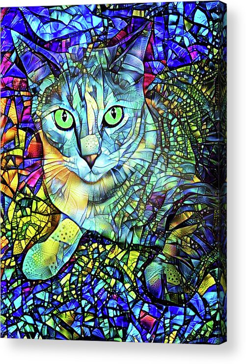 https://render.fineartamerica.com/images/rendered/default/acrylic-print/7.5/10/hangingwire/break/images/artworkimages/medium/3/bella-the-stained-glass-cat-peggy-collins.jpg